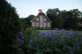 germany annette von droste hülshoff rüschhaus flowers blue garden baroke