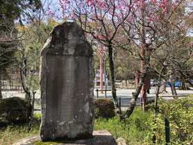 長岡保勝会 長岡公園と八条ヶ池 百瀬ちどりの楓宸百景