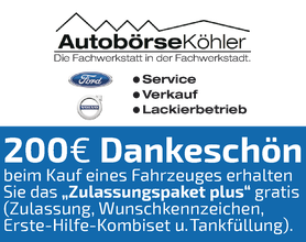 Ford und Volvo Köhler, Alsfeld, Autobörse