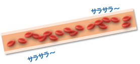 血流サラサラ血管