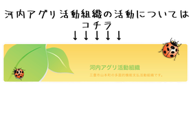田んぼっこー11月ー 田んぼっこ 田んぼっこー11月ー 田んぼっこ