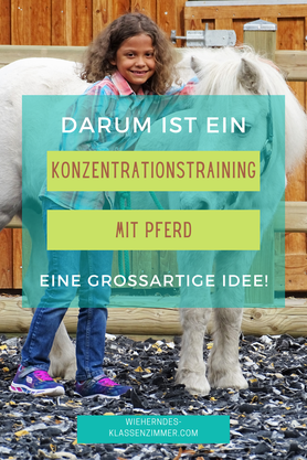 Ein Konzentrationstraining im Pferdestall ist eine clevere  Idee, um Dein reittherapeutisches oder reitpädagogisches Angebot zu erweitern!