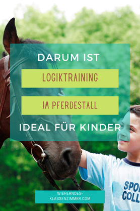 Gezieltes Denken im Sattel: Wie logische Übungen die Reittherapie bereichern.