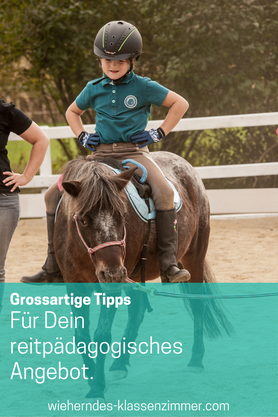 Immer mehr Kinder haben Probleme in der Schule. Genau deshalb solltest Du Dein reitpädagogisches oder reittherapeutisches Angebot um spezielle Fördertrainings ergänzen. Mit unseren Ideen kannst Du dabei richtig durchstarten.