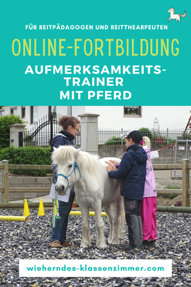 Ein Aufmerksamkeitstraining im Pferdestall ist eine clevere  Idee, um Dein reittherapeutisches oder reitpädagogisches Angebot optimal um einen sinnvollen und profitablen Baustein zu ergänzen!