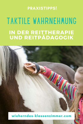 Entdecke die vielfältigen Möglichkeiten der Reittherapie und Reitpädagogik, um Kinder spielerisch zu fördern. 
