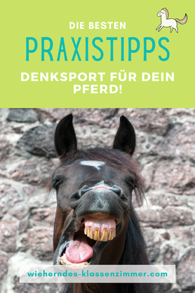 Clever trainieren: Denksport & Gelassenheit für Dein Pferd.