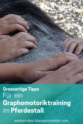 Du bist Reitpädagoge oder Reittherapeut? Dann solltest Du unbedingt unser Training "Graphomotorik mit Pferd" ausprobieren. Denn Pferde können Kindern wunderbar dabei helfen, Schreiben zu lernen.