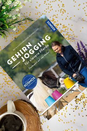 Abwechslungsreiches Training für Dein Pferd – Neurowissenschaft trifft Praxis.