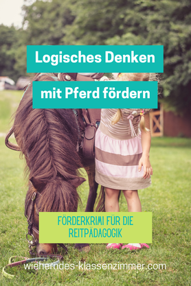 Mit unserer Ideenkiste förderst Du das logische Denken im Rahmen der Reittherapie und Reitpädagogik. 