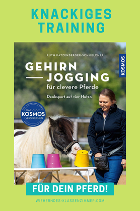 Gehirnjogging für clevere Pferde – Denksport & Training.