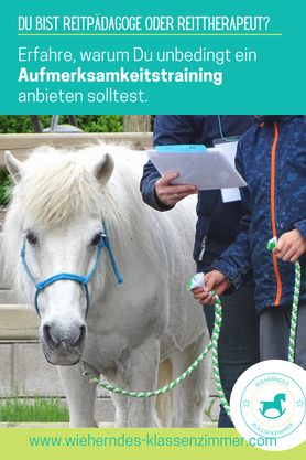 Du bist auf der Suche nach Spielen, Übungen und Ideen für die Reitpädagogik oder Reittherapie? Dann solltest Du unbedingt KAP Aufmerksamkeitstrainer mit Pferd werden!