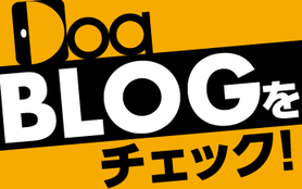 Doaブログをチェック！