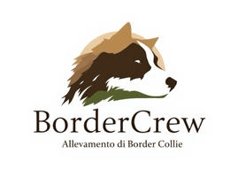 Benvenuti su bordercrew! Allevamento Border collie