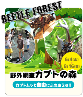 野外網室「カブトの森」