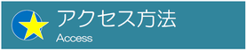 松戸市　新松戸　整骨院　接骨院　ポプラはりきゅう整骨院　松戸　南流山　流山市　柏市　交通事故　腰痛　肩こり　美容鍼　小顔矯正　耳つぼダイエット