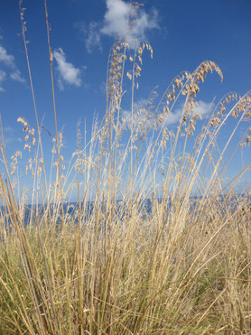 Resilienz durch Craniosacrale Therapie