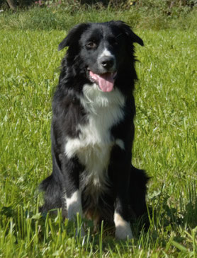 Cooper im Oktober 2016