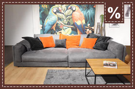 Graues Samt-Sofa mit orange- und anthrazitfarbenen Kissen vor einer bunten Papageien-Tapete.