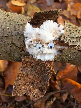 © Imke Braselmann "Haareis - Westhighland-Terrier"