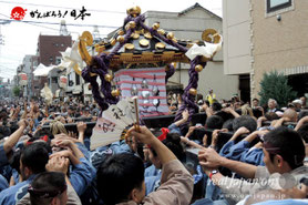 2013年 三社祭 'on! お祭りフォトギャラリー