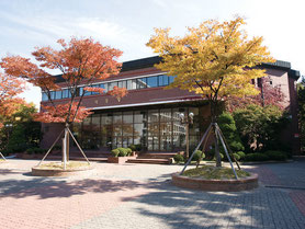 Seoul University