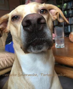 Foto: Ingrid Plumeier, Barney