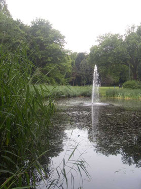 Springbrunnen im "von Wedelstaed Park"