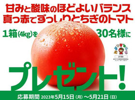 栃木県懸賞-栃木県産トマト-プレゼント