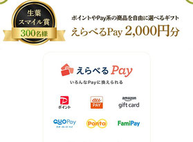 スマホ決済懸賞-えらべるPay-プレゼント