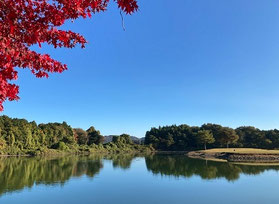 杉ノ郷カントリークラブ (名物ホール) 15番 PAR3