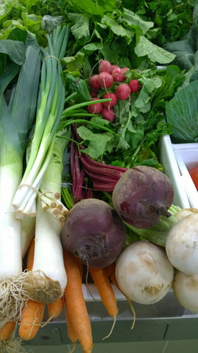 Rote Bete,Raiz de Beterraba,Beetroot,Gemüse,Legumes,Vegetables,Martins-Kulinarium,Carvoeiro,Algarve,Portuga