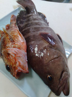 糸島　釣り　リフォーム　リコデマーレ