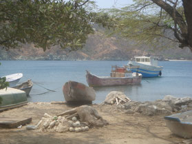 Tayrona-nationaal-park-kust-Taganga-mangrove-bossen-Carribean