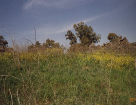 Golan-hoogte-nationaal-park-Gamla-Israël