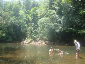 Indio-Maiz-mais-eilanden-nationaal-park-jungle-rivier-Nicaragua