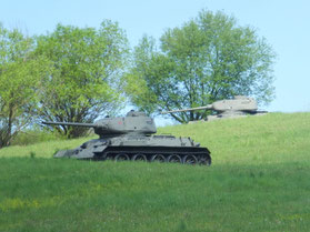 Vallei-van-de-dood-valley-of-the-Death-tanks-Sovjet-WW2-openluchtmuseum-Slowakije