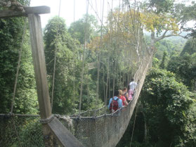 Kakum-nationaal-park-hangbrug-jungle-Ghana