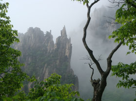 Huang-Shan-China-karst-bergen-Avatar