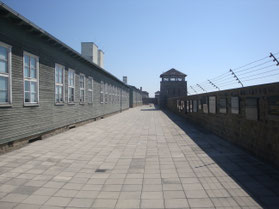 Mauthausen-concentratiekamp-wachttoren-prikkeldraad-Oostenrijk