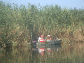 Donau-Delta-Crisac-kanalen-meren-rivieren-Roemenië