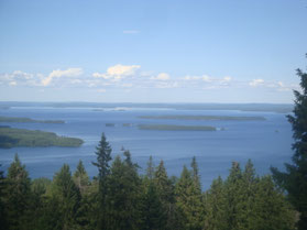 Koli-natuurpark-eiland-meer-Pielinen-Finland