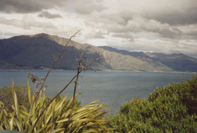 Milford-Sound-fjord-Nieuw-Zeeland