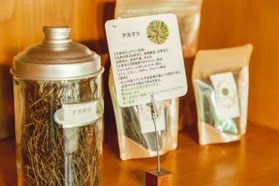 森の恵みのヤーコン茶