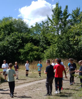Wasserspinne, Bild: Judith Fürst