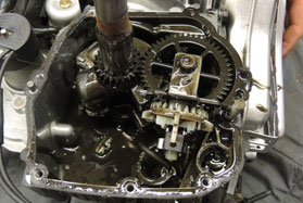 Rasenmähermotor.