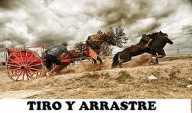 El tiro y arrastre "Tir i arrossegament" es un deporte muy extendido en la Comunidad Valenciana, en donde se utilizan caballos, carros y sacos llenos de arena. 