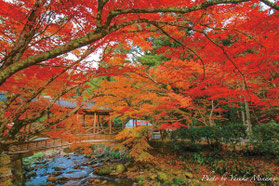 画像提供:大本山佛通寺