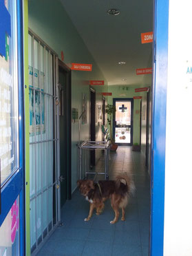 Corridoio centrale con i due ingressi