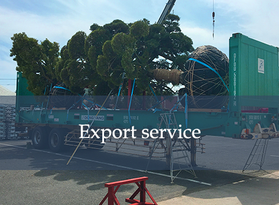 Export service